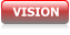 VISION